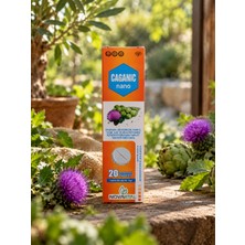 Caganic Nano 20 Efervasan Tablet