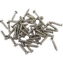 Alvenda Home Nikel 1000 Adet Klips Vidası 2,2X13 mm Yhb - Konik Başlı Kutu, Sandık, Ayak, Askı, Mini Vida