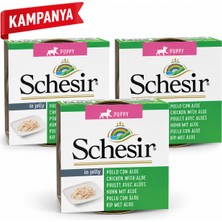 Schesir Jelly Tavuk Fileto ve Aloe Vera Jöle Içinde Yavru Köpek Konservesi 3 x 150 G