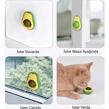 Store Avokado Kedi Nanesi Kedi Otu Topu Kedi Oyuncağı Yapışkanlı Catnip