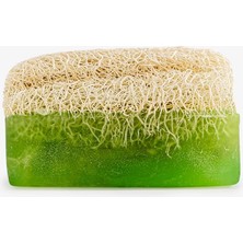 Store Kabak Lifli Aloe Vera Sabunu 100% Doğal | Tüm Cilt Tipleri Için Derinlemesine Temizlik ve Peeling