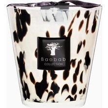 Baobab Collection Black Pearl Zencefil Gül Aromalı Mum 1 kg