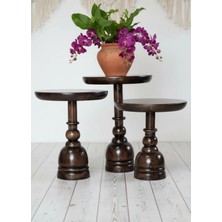 Aselya Home Doğal Ahşap 3'lü Set Mantar Yan Sehpa Modern Fiskos Zigon