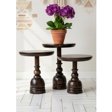 Aselya Home Doğal Ahşap 3'lü Set Mantar Yan Sehpa Modern Çiçeklik