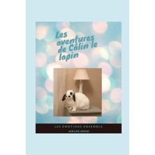 Les Aventures De Câlin Le Lapin Et Les Émotions Ensemble: Expliquer Les Émotions Aux Enfants, Lire Des Aventures En Famille, Découvrir Un Incroyable ... Arrivé Dans La Maison Rose) (French Edition)