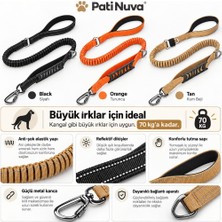 Pati Nuva Şok Emici Elastik Köpek Gezdirme Tasması Kum Beji