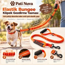 Pati Nuva Elastik Bungee Köpek Gezdirme Tasması Turuncu