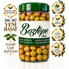 Boztepe Ayvalık Çizik Yeşil Zeytin Doğal Fermente 1000 cc