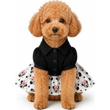 Patilemece Köpek Minie Mause Elbise