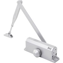 Caftra Kale KD00250-550 Gümüş Kapı Hidroliği 80-120 kg No5