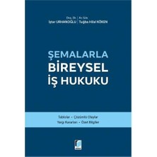 Hepta Collection Şemalarla Bireysel Iş Hukuku