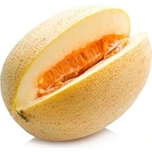 Hepta Collection Erdem Garden Doğal Yazlık Kavun Ananas 100 Ad. Tohum