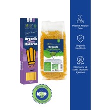Ots Organik Makarna Seti – Çubuk Makarna + Burgu Makarna 2'li Set | 2 x 500 G (Organik Sertifikalı, Pestisit Analizli)