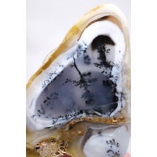Healcrystal Çok Renkli Manzara Merlinite Dilimi - Manzaralı Dendritik Opal, 109G