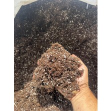ASES 15 Lt Bluberry(Yaban Mersini) Toprağı