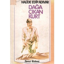 Kişisel Yayınlar Dağa Çıkan Kurt - Halide Edip Adıvar (1.baskı)