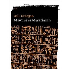 Kişisel Yayınlar Mucizevi Mandarin - Aslı Erdoğan