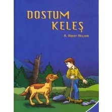 Kişisel Yayınlar Dostum Keleş - Alper Akçam