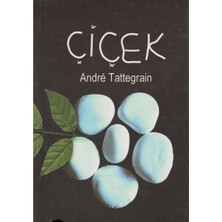Kişisel Yayınlar Çiçek - Andre Tattegrain (Ilk Baskı 2004)