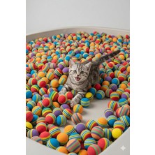 Happy Trend 50'li Sünger Kedi Oyun Topu Kovası | Renkli Zıplayan Hafif Kedi Oyuncağı Seti