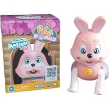 aklow akyoleticaret RS-9037C/9038C Kut.pilli Tavşan / Kedi