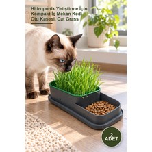 Yenilig 2 Adet Topraksız Kedi Çimi Kabı – Hidroponik Yetiştirme Için Kompakt Iç Mekan Kedi Otu Kasesi, Cat Grass