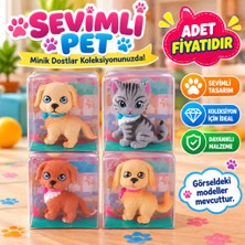 Oyunca KZL-8910-E48 Kedı Kopek 24 Lu Standta (Adet Idır)