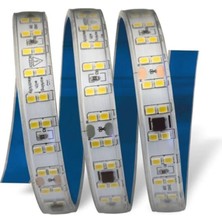 Cata CT-4597 220V 240 LED Amber Yapışkanlı (100 Metre)