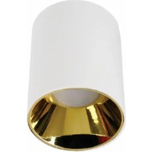 Ack AH03-08660 Sıvaüstü Dekoratif Armatür Altın Reflektör Beyaz Metal Yuvar