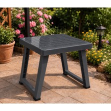 Poliwork Katlanır Çok Amaçlı Plastik Sehpa 49X39X37 cm Bahçe Balkon Kamp Piknik Masa