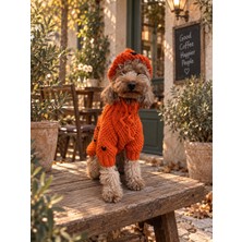 Maia Studio Pumpkin Knit Köpek Kazağı ve Şapka Takımı – Özel Tasarım Köpek Kıyafeti