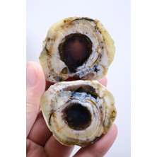 Healcrystal Parlatılmış Dendritik Opal Çifti - Odak Bantlarıyla Dumlu Çekirdek ve Pas-Turuncu Dendritler, 77G