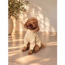 Maia Studio Écru Cozy Knit Uzun Kollu Köpek Kazağı