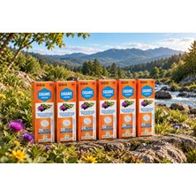 Nova Vital CAGANIC NANO 20 Efervasantablet 6 Kutu