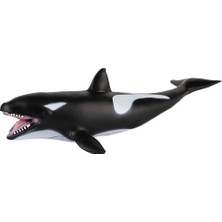 JQ-008B Deniz Hayvanları -Gepettoys