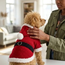 Lady Fify Kedi ve Köpek için Kapüşonlu Noel Baba Kostümü