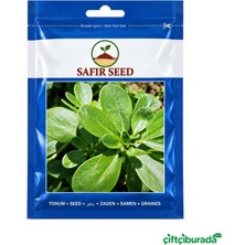 Safir Seed Sarı Frenk Semizotu Tohumu 10 G