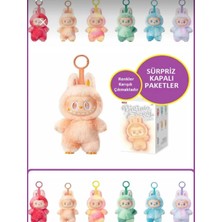 Ases Store Labubu Sürpriz Renkli Oyuncak Anahtarlık Orjinal Kutulu Peluş Wenter