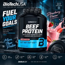 Biotechusa Beef Protein 1,8 kg - Strawberry