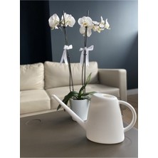 Aslife Çiçek Sulama Kabı 1,7 Litre Beyaz Renkli Ergonomik Tasarım ile Kullanım Kolaylığı