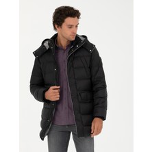 Cacharel Black Hooded Goose Down Jacket