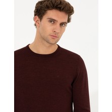 Cacharel Burgundy Slim Fit Crew Neck Basic Knit Sweater