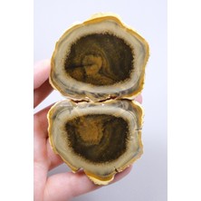 Healcrystal Koyu Bal Rengi ve Kehribar Tonlu Merlinit – Konsantrik Renk Bantlarına Sahip Dendritik Opal Çifti, 112 G