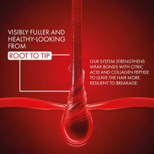 Aydogan's Vıchy Collagen 17 Filler Şampuan Öncesi Bakım 150 ml