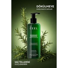 Aydogan's Biberiye Saç Bakım Şampuanı 250 ml - Keratin, Biotin ve Hidrolize Kolajen Içeren Hacim ve Parlaklık Destekleyici Saç Şampuanı, Saç Derisi Ferahlatıcı Günlük Bakım Şampuanı