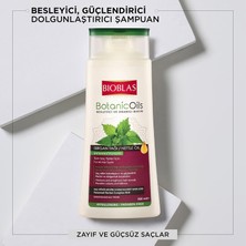 Aydogan's Saç Dökülmesine Karşı Bitkisel Şampuan – Isırgan Tohumu Yağı & Zeytinyağı Içerikli, Dolgunlaştırıcı Etki, Kompleks B19, 360 ml