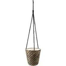 IKEA Druvfläder Asma Saksı , Su Sümbülü, 14 cm