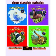 0-6 Yaş Yayınları Dokun ve Hisset- Evcil Hayvanlar, Yaban Hayvanlar, Sevimli Hayvanlar, Sevimli Hayvanlar(4kitap)