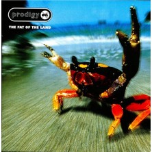Plak Dolabı The Prodigy – The Fat Of The Land Lp Plak