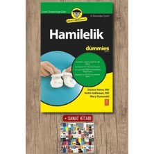 Nobel Yaşam Hamilelik For Dummies + Sanat Kitabı
